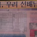 봉의초등학교 이미지