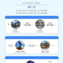 마이리얼트립 대만 예스지 버스 투어 후기