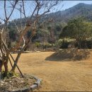 토브하르 | 정원 카페 뷰 좋은 카페 토브하르