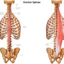 허리튼튼한의원 이미지
