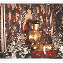 도리사로 이미지