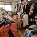 윤미라 카카오 검색결과