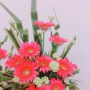 플로리스트&생활원예 이미지