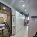 보미퍼스트치과의원 네이버블로그