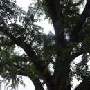 UR(의정부시)-[서계로]-상-13 | 의정부 서계고택 / 西溪古宅