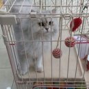 폴리파크송현점