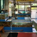 분당-273 이미지