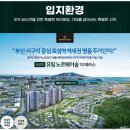유림정보 Daum카페