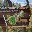 하기숲 캠핑장 이미지