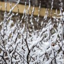 하얀세상 이미지