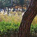 미추홀공원 다례원 이미지