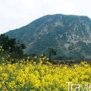 세로운 이미지
