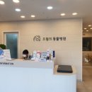 오월의 동물병원 이미지