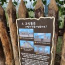 상동 지석묘군 이미지