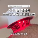 써웨이브 | 두피 마사지기 추천 모딘 웨이브 두피 케어 마사지기 직접 써본 후기