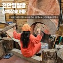 상록참숯가마찜질방 | 천안 찜질방 찾는다면 참숯불가마 맛집 상록참숯가마 추천