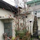 대곡상회 이미지