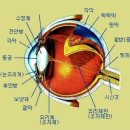 백제안경원 이미지