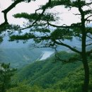 문경공고조기묘 이미지