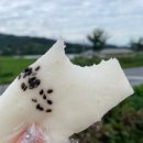 겸면떡집