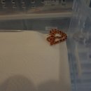 와우펫앤쥬 부산점 이미지