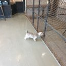 빈스 앤 멍 이미지