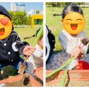 양지1어린이집 이미지