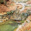 장산배수장 Daum카페