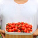 미리내농수산 이미지
