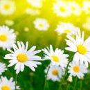 김유미 보청기 전문센터 이미지