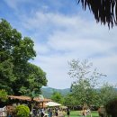 힐링독 | 봄나들이 애견동반카페 추천 컨츄리독힐링파크 바베큐까지 가능한 힐링 후기