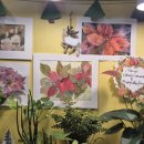 즐거운반딧불이 이미지