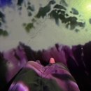 명태의 꿈(아트벤치 | [내돈내산] 강화도 실내 놀거리 추천! 아트팩토리참기름 꿈의 산책 찐 후기 🎨