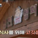 에코메이트
