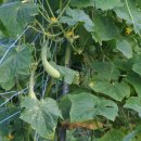 장현농장 이미지