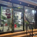 세인트옵티컬 이미지