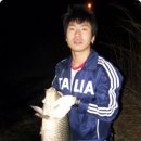 붉은눈(표상완)님,, 81Cm 잉어 이미지