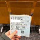 D00010 | 고흥 녹동항 배타고 제주 (예매, 차량선적 후기)