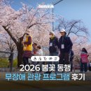 학장동 다누림센터 앞 | 🌸시각장애인과 함께한 여의도 봄꽃 동행 무장애 관광 프로그램 후기