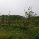 섬진강 레일바이크 이미지