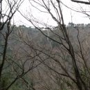능산농장 티스토리