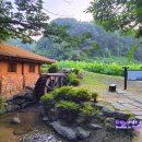 사랑나무유통 - 화순군 | 사랑나무유통