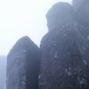 곡성-138 Daum카페