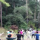 최진석 태극무관 이미지