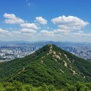 서울대 근처 관악산 당일치기 등산 코스 추천 이미지