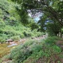 고씨동굴펜션 이미지