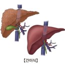 간 - 유성구 온천서로 8-13 | 간