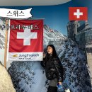 3984 | 스위스 융프라우 여행 산 올라가는 코스 가격 총정리