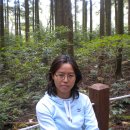 치유, 명상의 숲 이미지