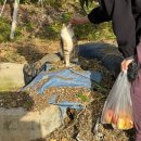 은평-041 | 논산 지장정사 템플스테이 후기